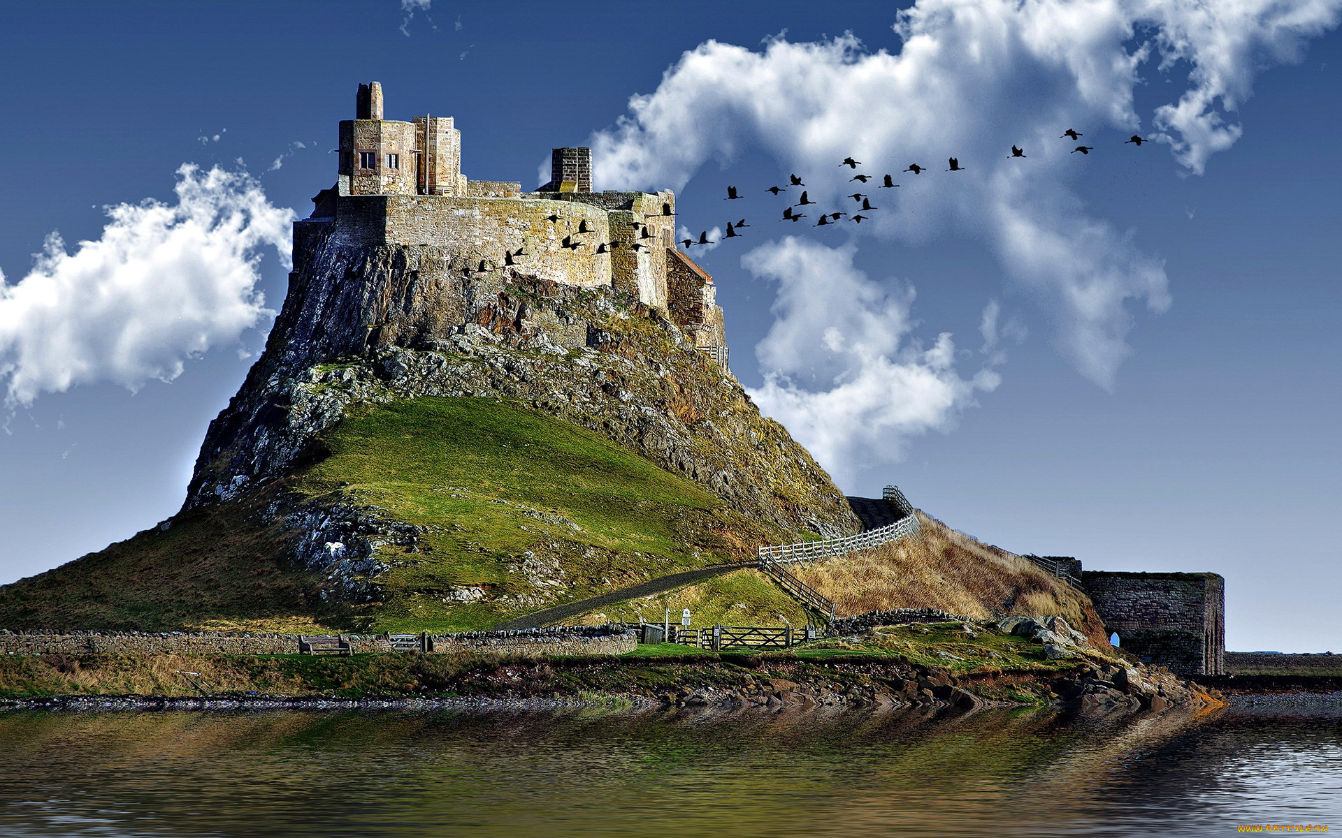 lindisfarne castle, ,  , lindisfarne, castle